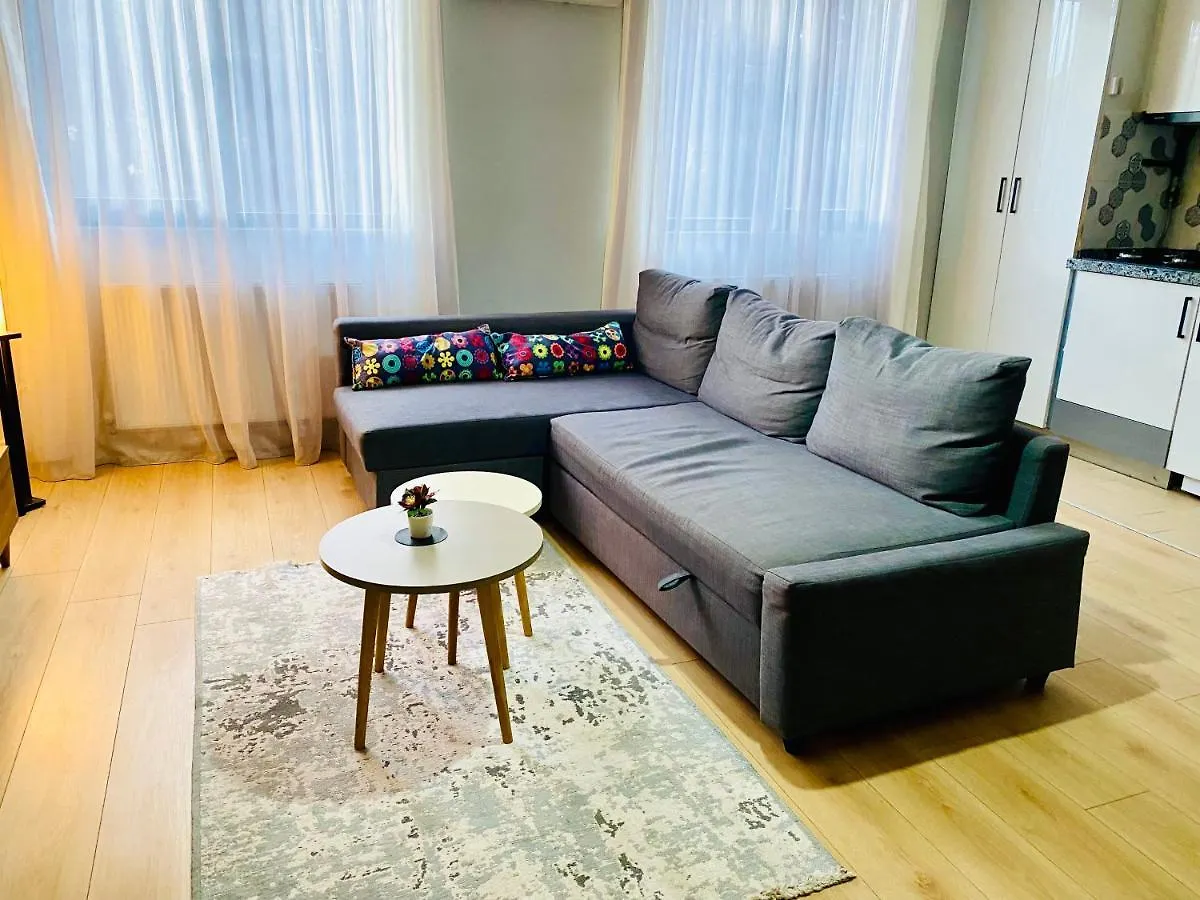 Modern , Spacious, Duplex Apartment Provincia di Provincia di Istanbul