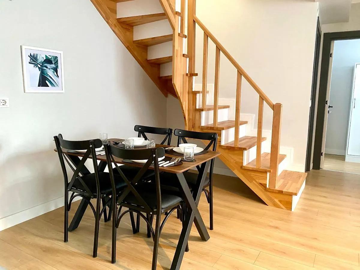 Modern , Spacious, Duplex Apartment Istanbul Turkey