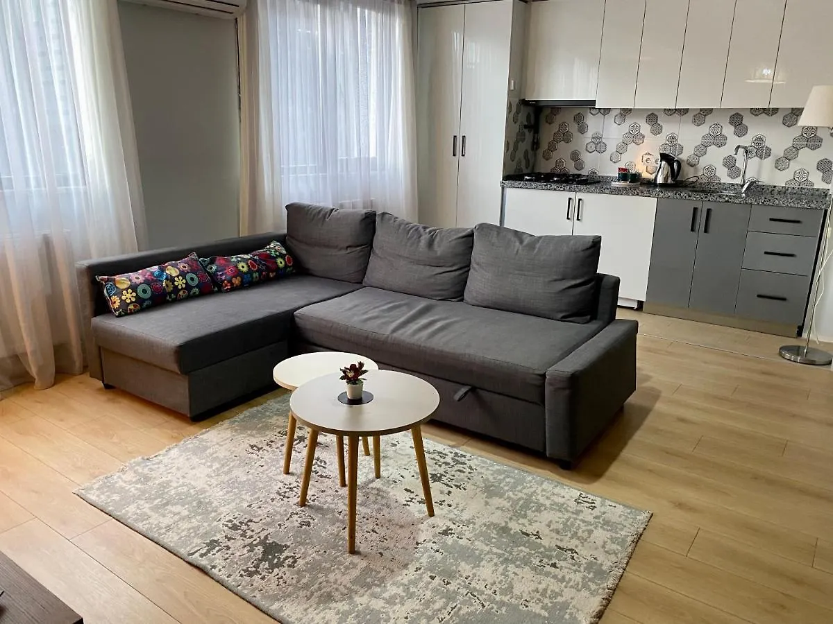 Modern , Spacious, Duplex Apartment Istanbul 0*,